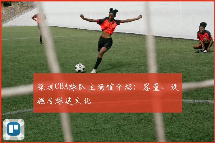深圳CBA球队主场馆介绍：容量、设施与球迷文化
