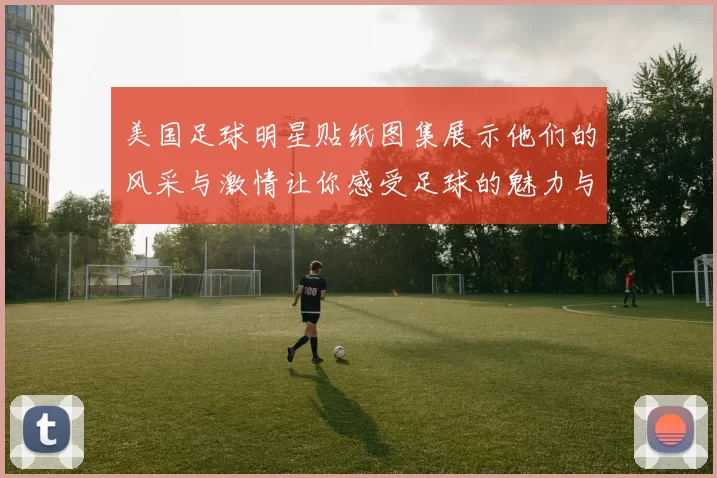 美国足球明星贴纸图集展示他们的风采与激情让你感受足球的魅力与热情